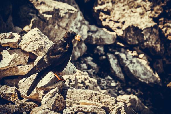 Rakousko – Grosser Priel – foto 16