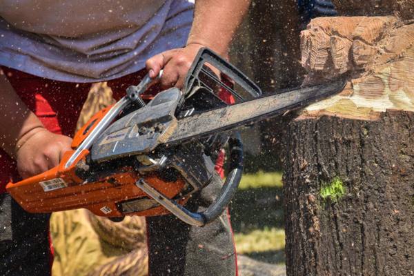 Woodart – foto 22